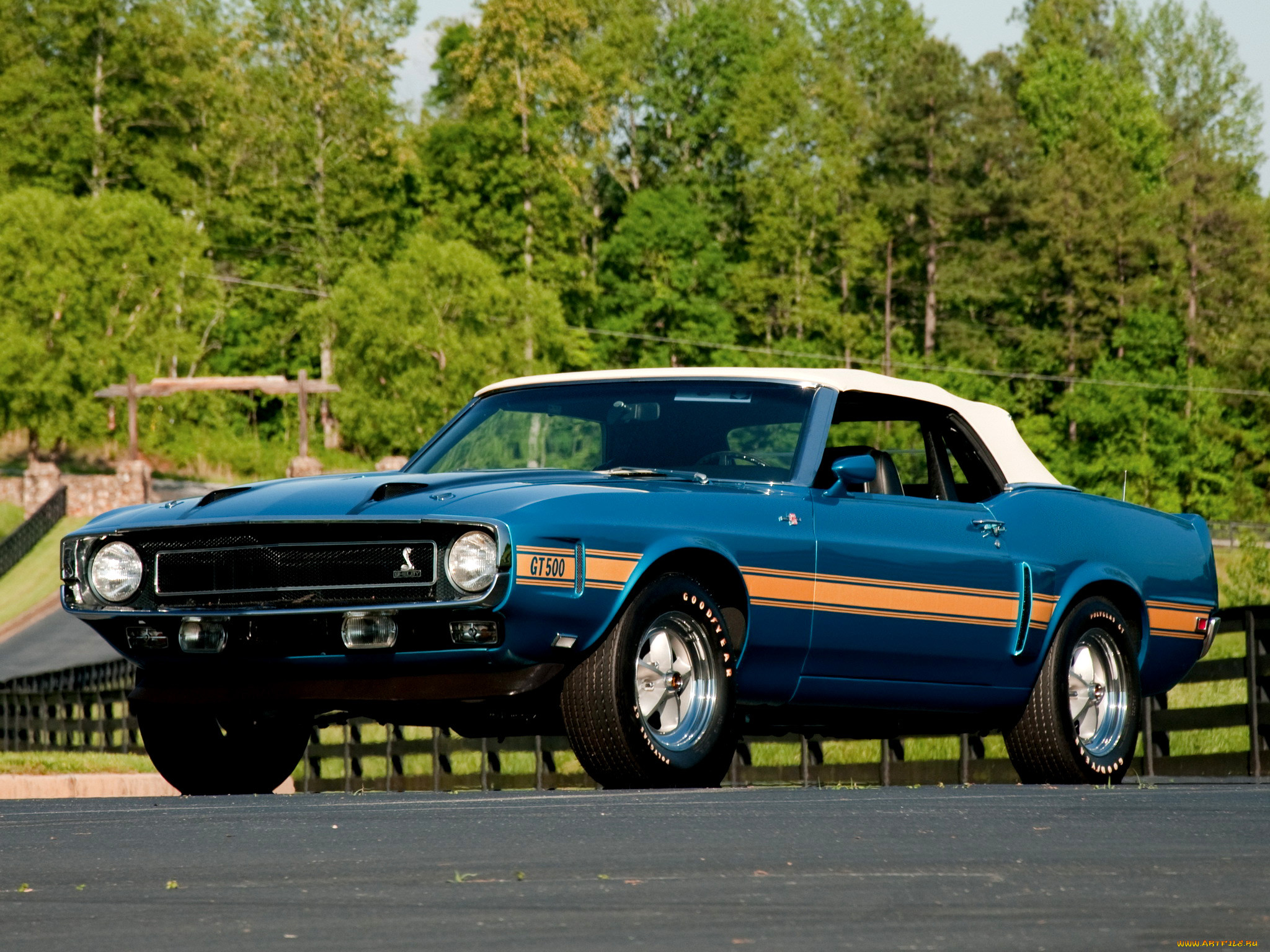 shelby, gt500, convertible, , mustang